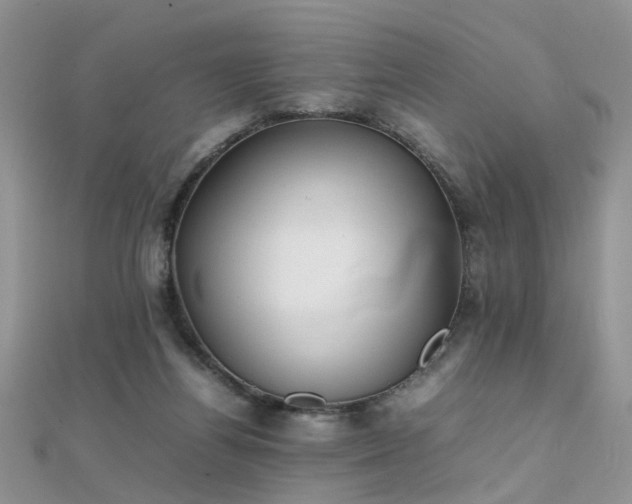X0000112040164200908101409