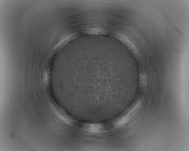 X0000112040165200908101409