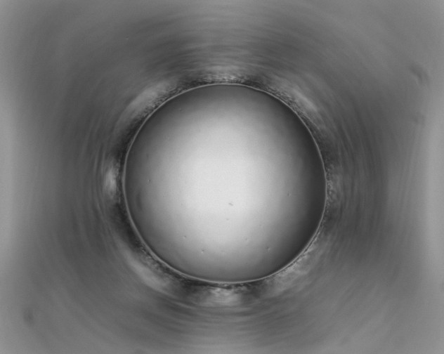 X0000112040166200908101409