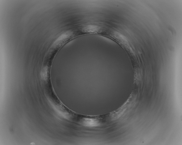 X0000112040167200908101409