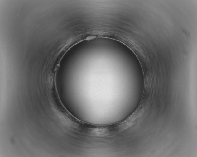 X0000112040168200908101409