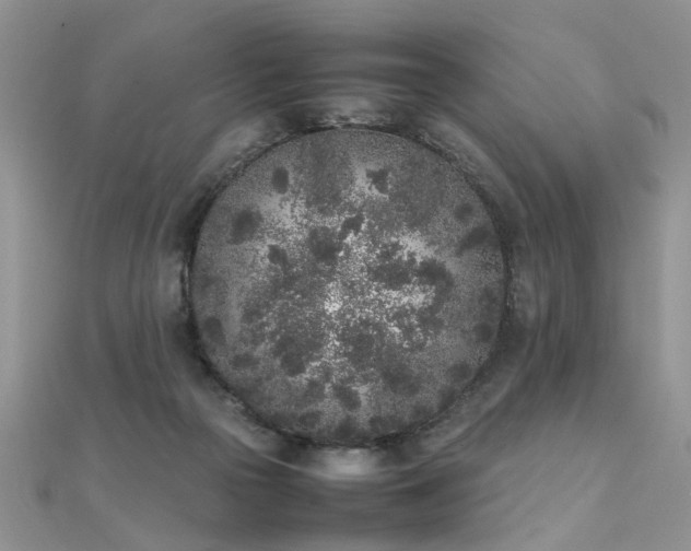 X0000112040169200908101409