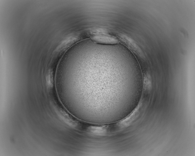 X0000112040170200908101409
