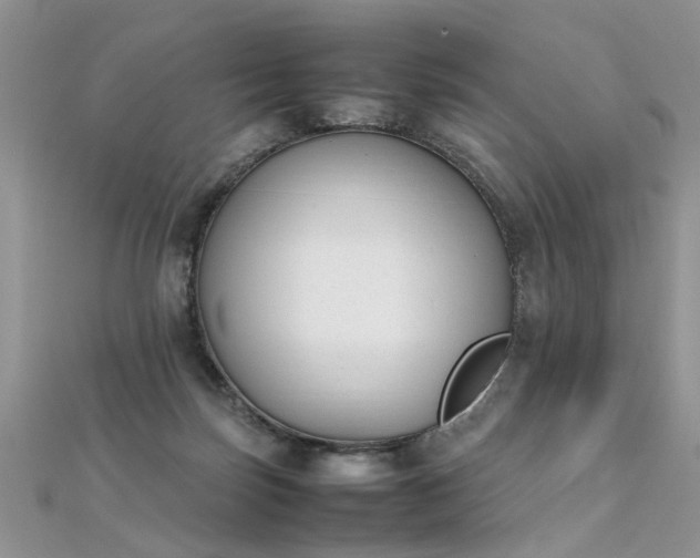 X0000112040171200908101409