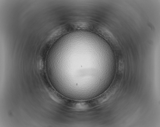 X0000112040173200908101409