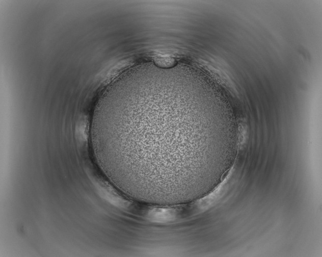 X0000112040174200908101409