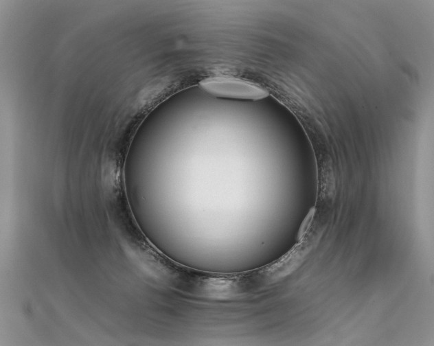 X0000112040176200908101409