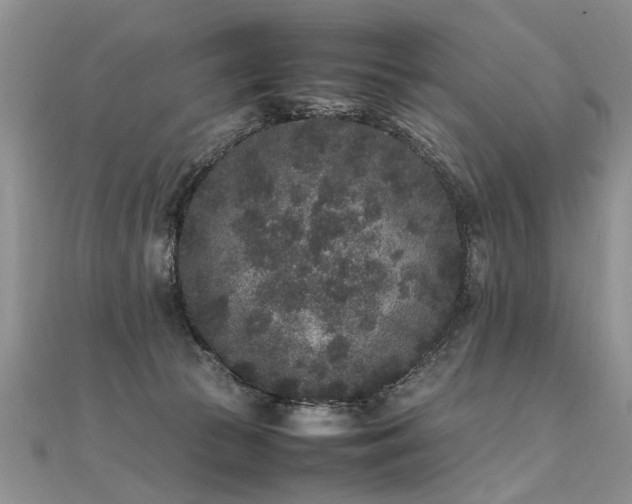 X0000112040177200908101409