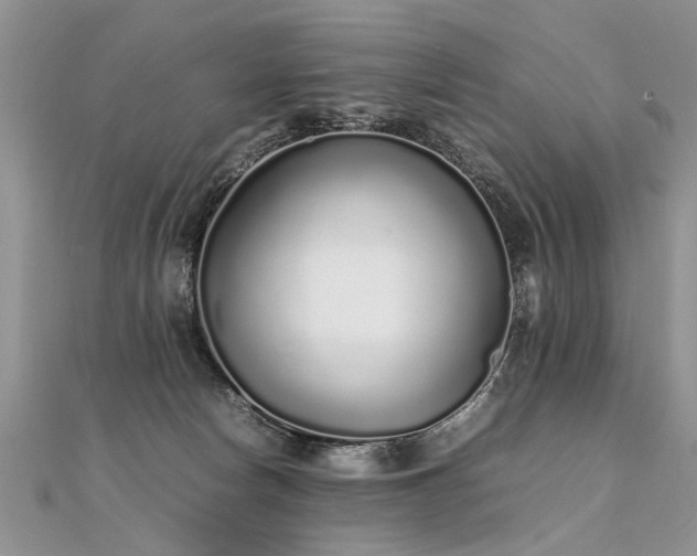 X0000112040178200908101409