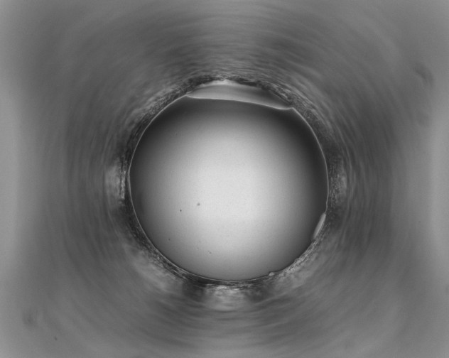 X0000112040180200908101409