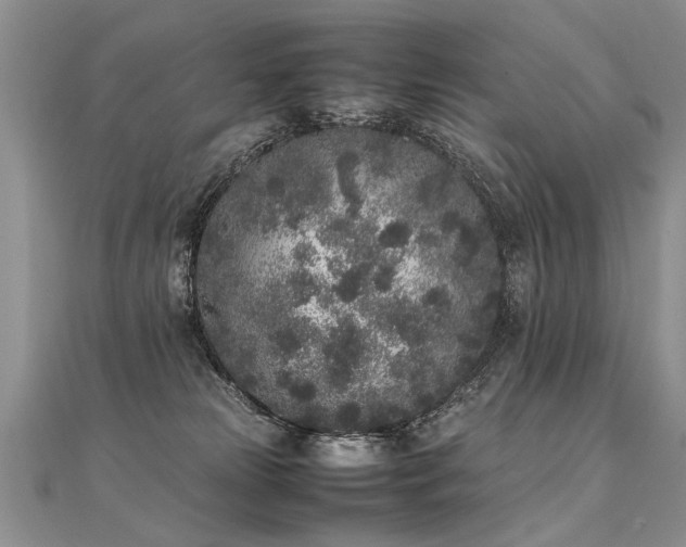 X0000112040181200908101409