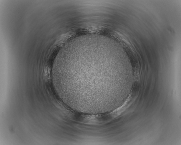 X0000112040182200908101409
