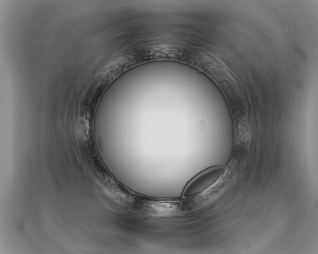 X0000112040183200908101409