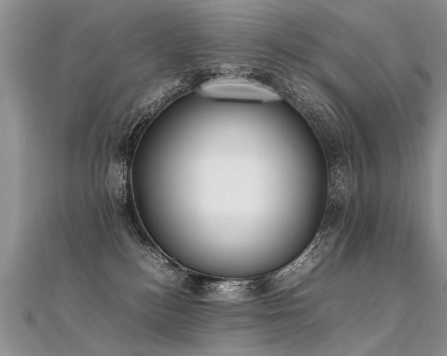 X0000112040184200908101409