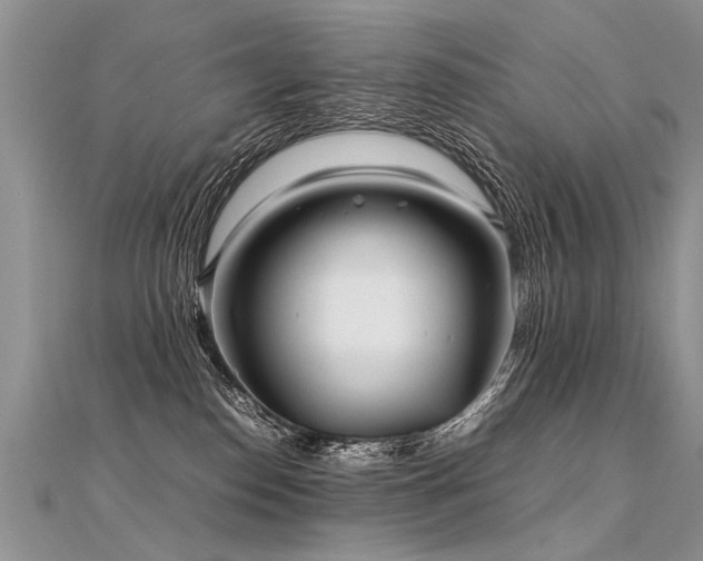 X0000112040186200908101409