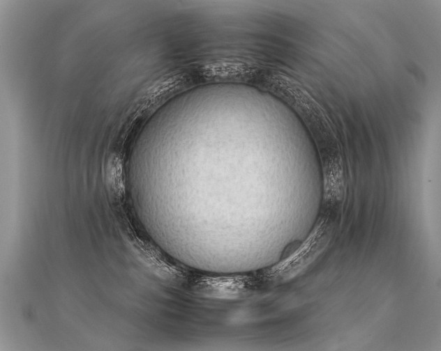 X0000112040187200908101409