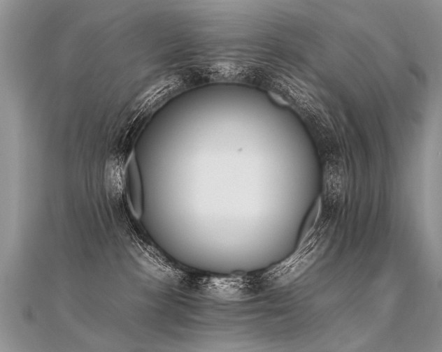 X0000112040188200908101409