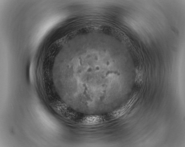 X0000112040189200908101409