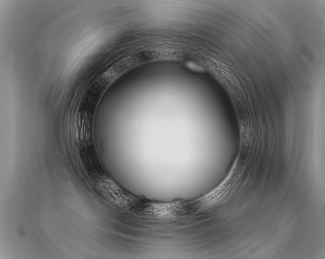 X0000112040190200908101409