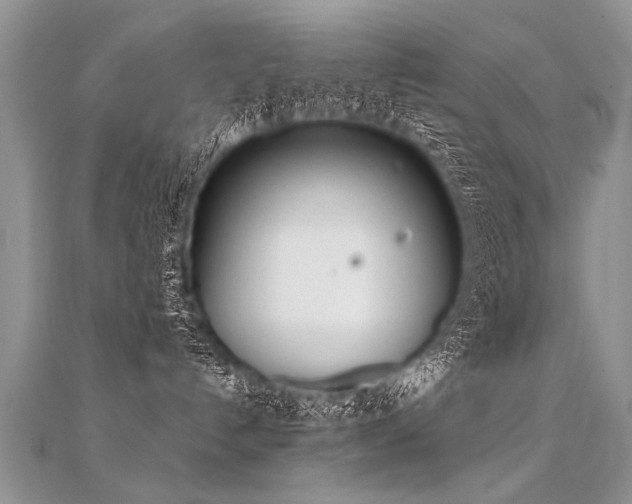 X0000112040192200908101409