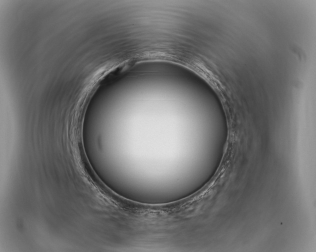 X0000112040193200908101409