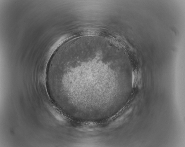 X0000112040195200908101409