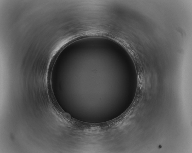 X0000112040196200908101409
