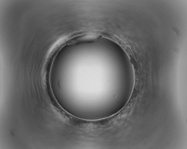 X0000112040197200908101409