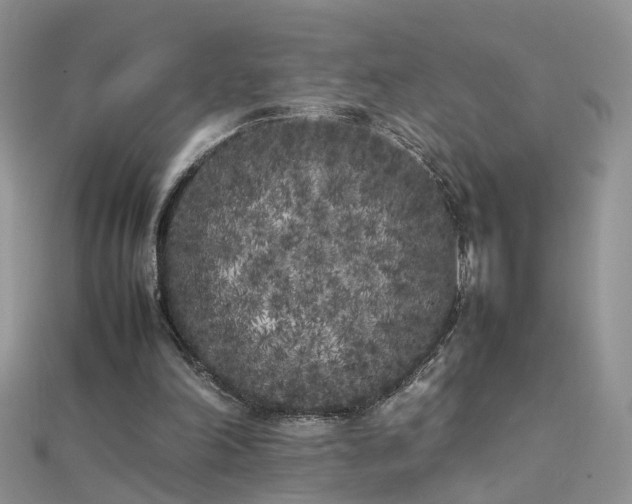 X0000112040198200908101409