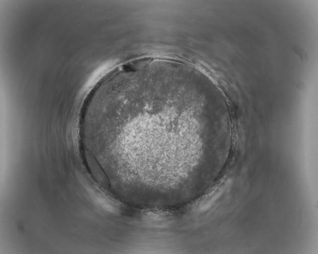 X0000112040199200908101409