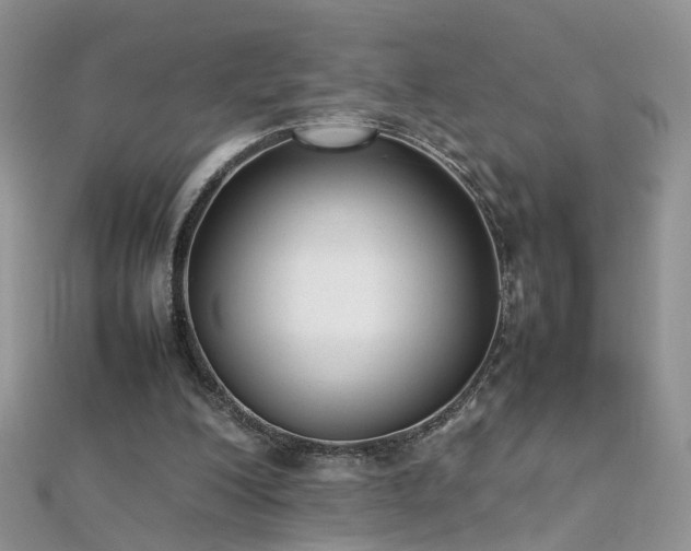 X0000112040200200908101409