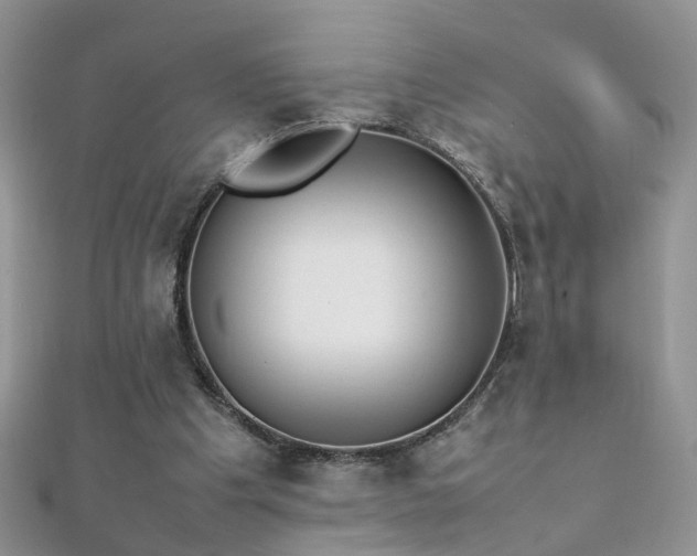 X0000112040201200908101409