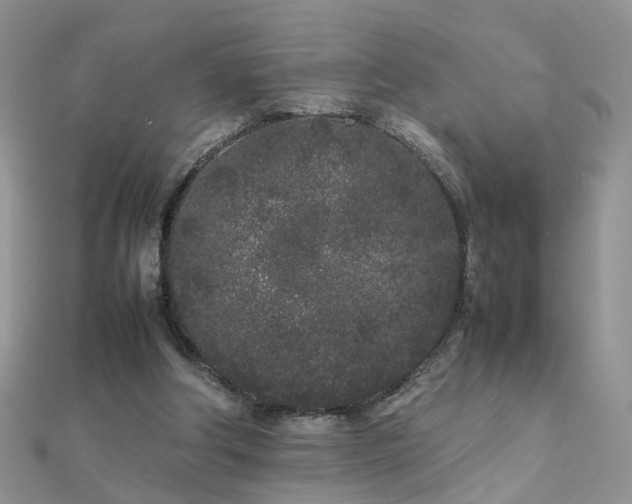 X0000112040202200908101409