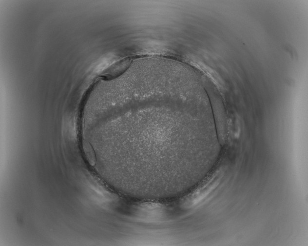 X0000112040203200908101409