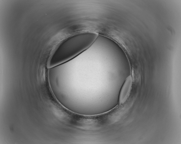 X0000112040205200908101409
