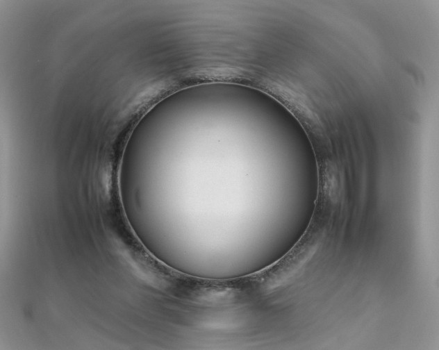 X0000112040206200908101408