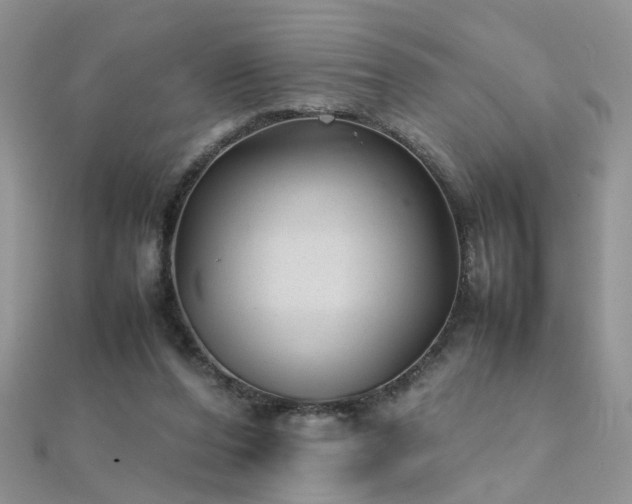 X0000112040208200908101408