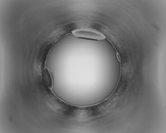 X0000112040209200908101408