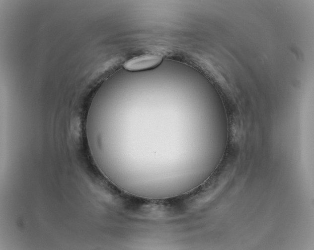 X0000112040211200908101408