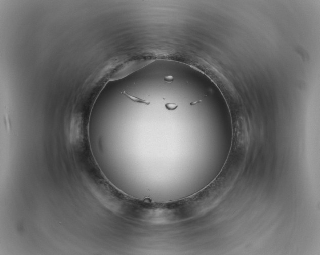 X0000112040212200908101408