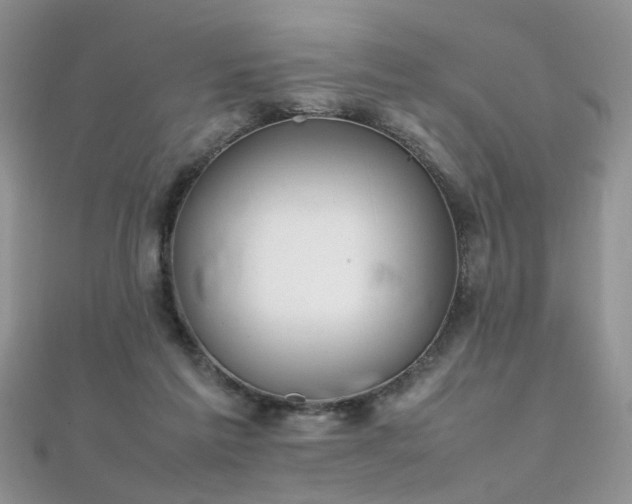 X0000112040213200908101408