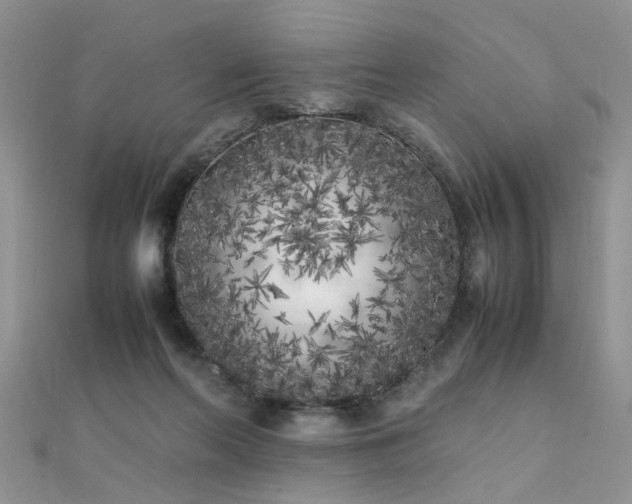 X0000112040214200908101408