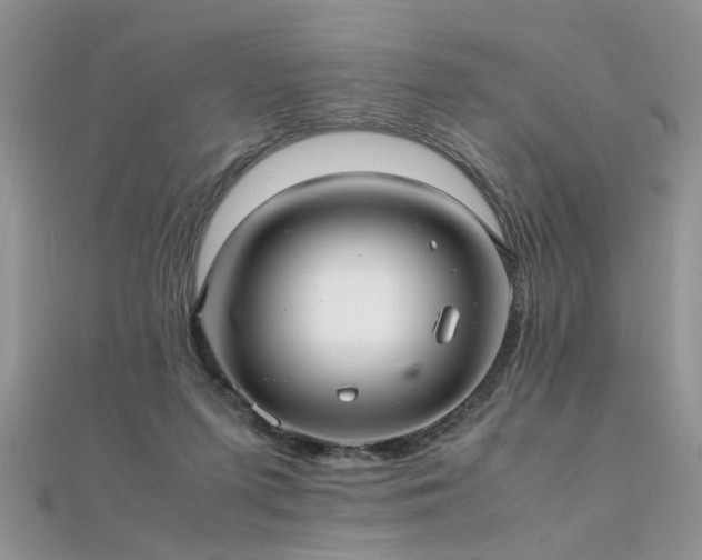 X0000112040215200908101408