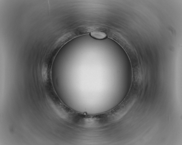 X0000112040216200908101408