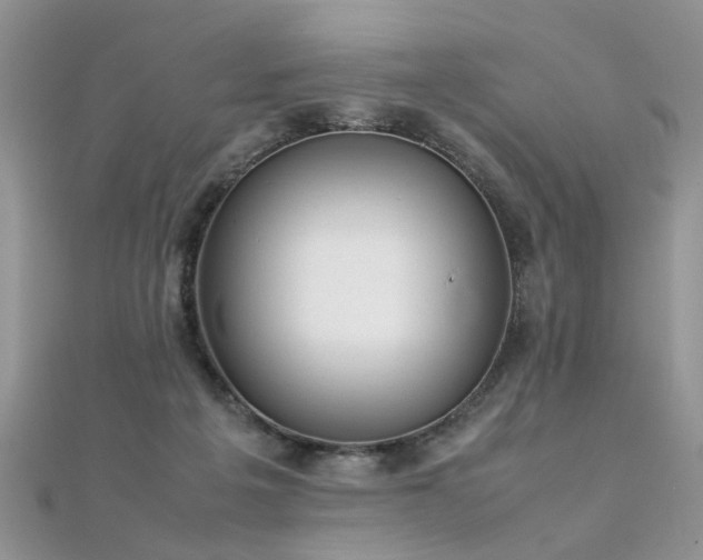 X0000112040217200908101408