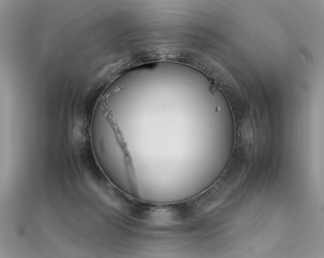X0000112040218200908101408