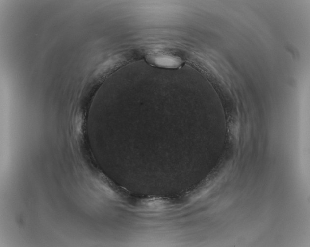X0000112040219200908101408
