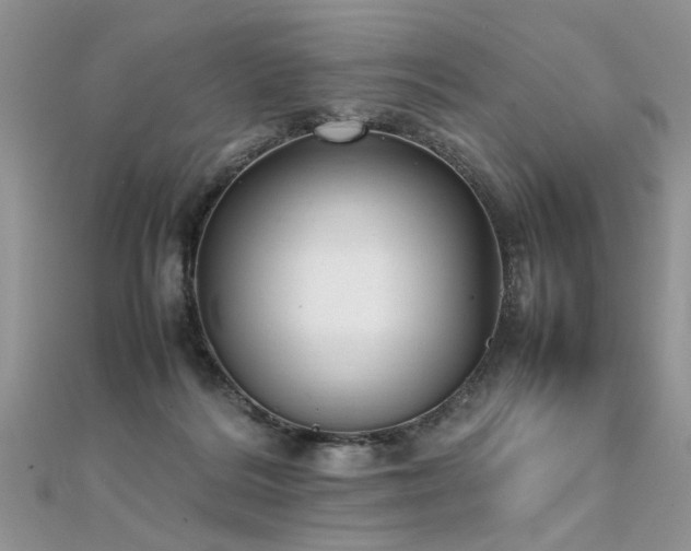 X0000112040220200908101408
