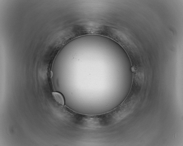 X0000112040221200908101408