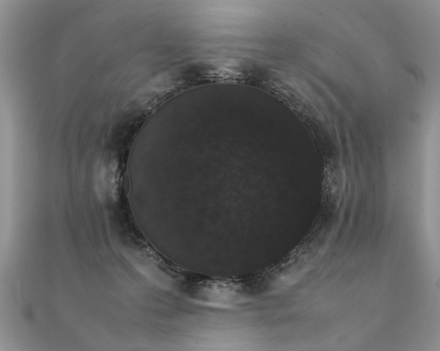 X0000112040223200908101408